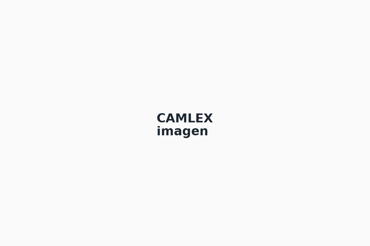 CAMLEX